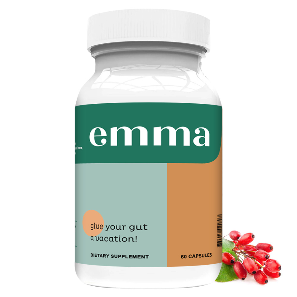 Wellness Health Nutrition - Gut Health Supplement - Supports Digestive
