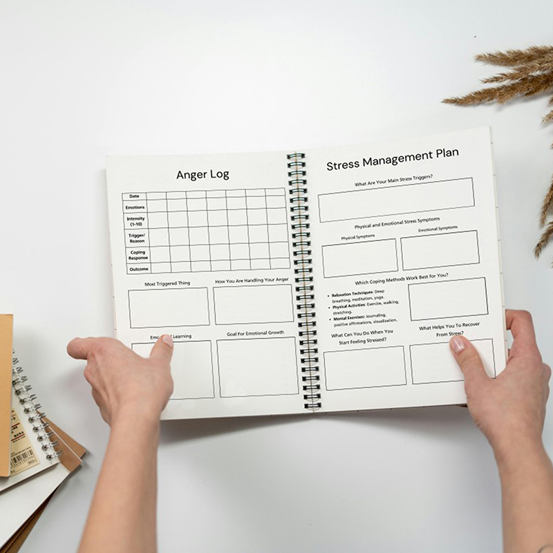 New Mental Health Journal ,Men - Health Wellness Planner review and price