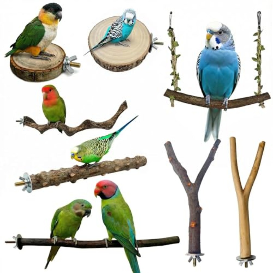 8PCS natural wood bird perches - Health & Wellness Lafayette review and price
