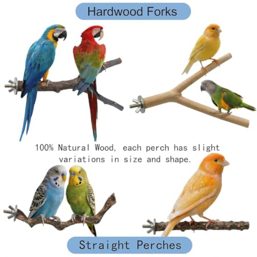 8PCS natural wood bird perches - Health & Wellness Lafayette review and price
