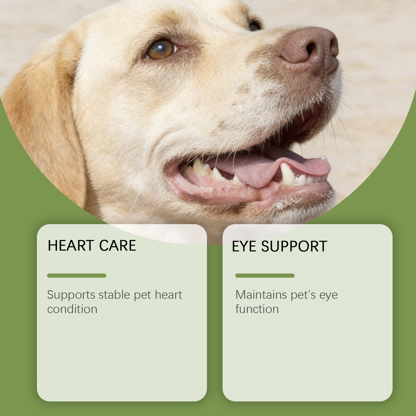Dog Taurine Powder Easy-To-Mix - Wellness Health Nutrition review and price
